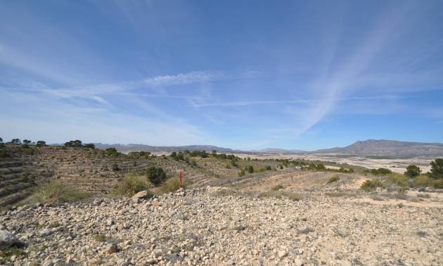 Bestaande woningen - Land - La Zarza