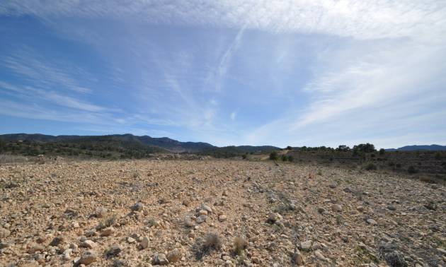 Bestaande woningen - Land - La Zarza