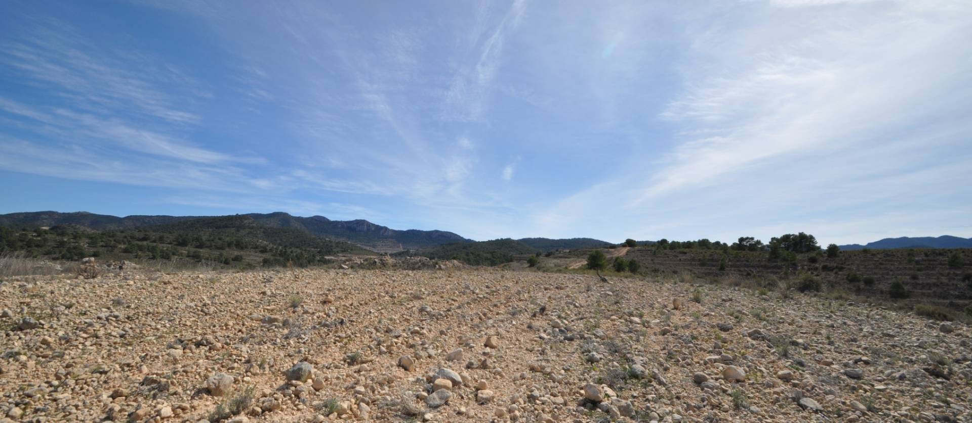 Bestaande woningen - Land - La Zarza