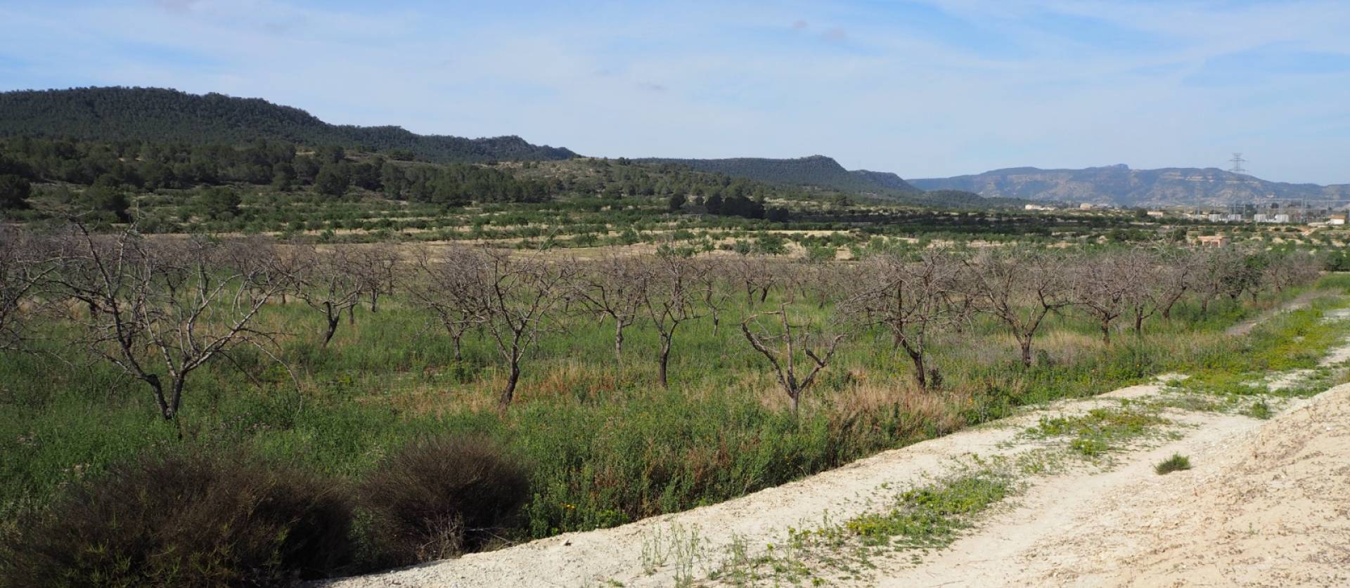 Revente - Land - San Miguel de Salinas - Torremendo