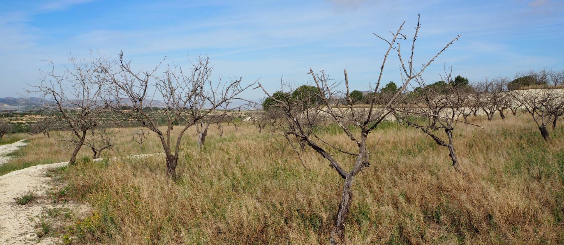 Revente - Land - San Miguel de Salinas - Torremendo