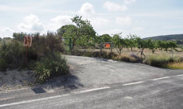 Revente - Land - San Miguel de Salinas - Torremendo