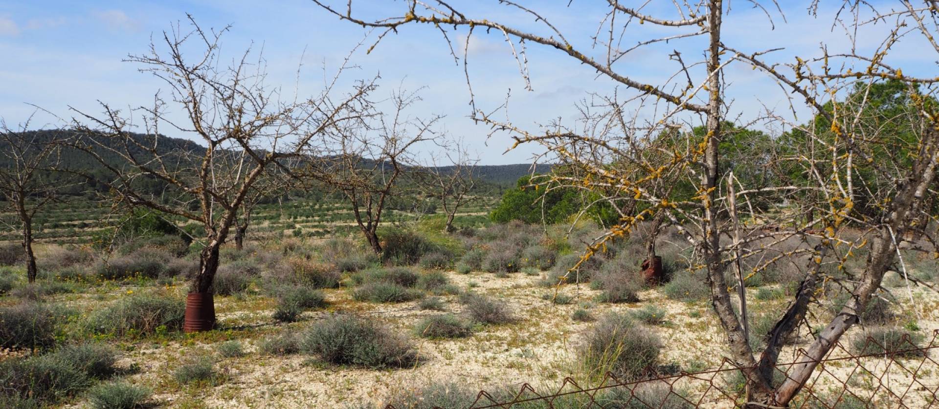 Revente - Land - San Miguel de Salinas - Torremendo