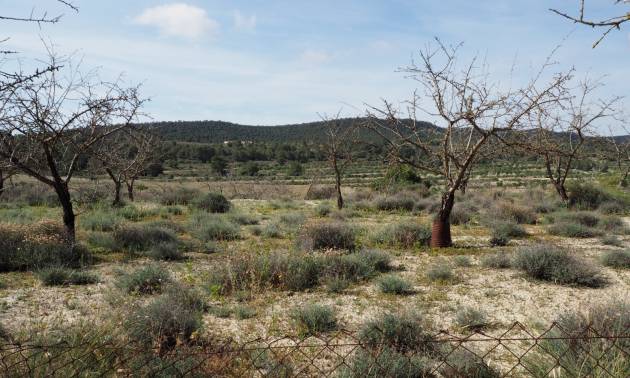 Revente - Land - San Miguel de Salinas - Torremendo