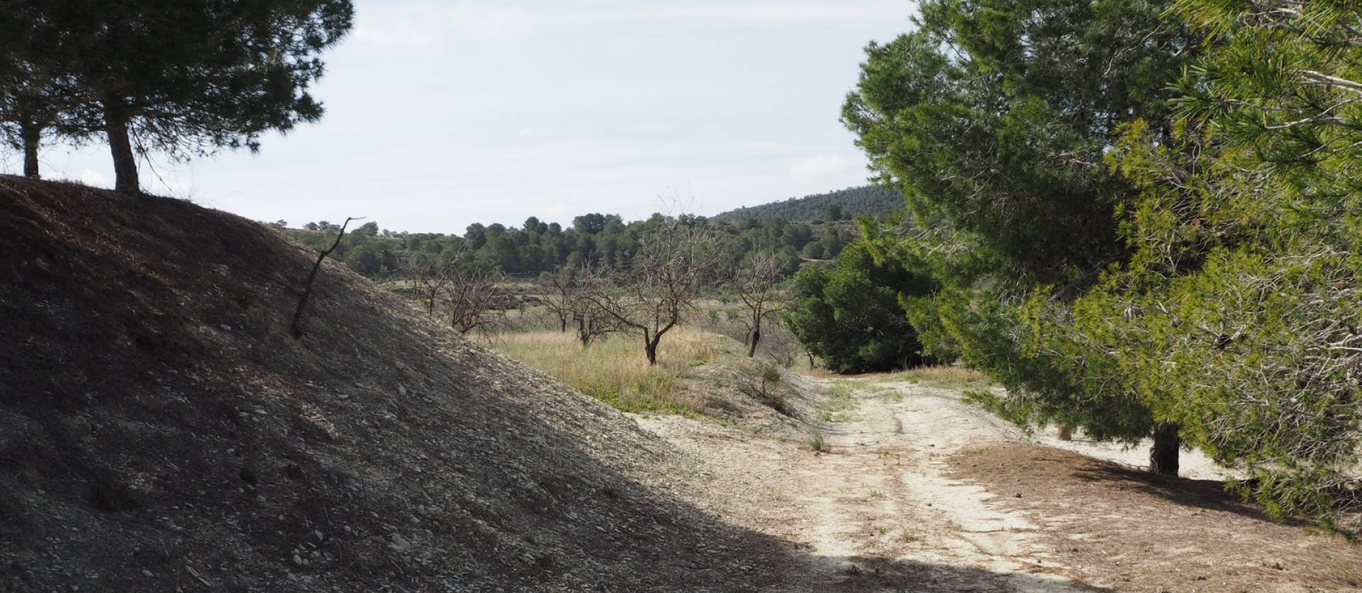 Revente - Land - San Miguel de Salinas - Torremendo