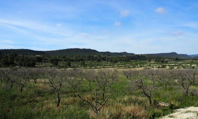 Revente - Land - San Miguel de Salinas - Torremendo