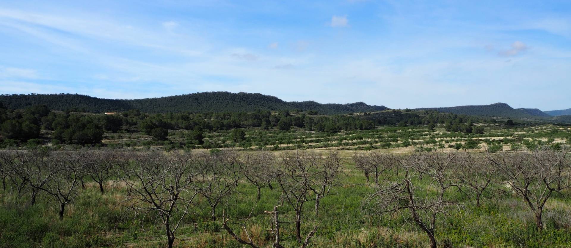 Revente - Land - San Miguel de Salinas - Torremendo