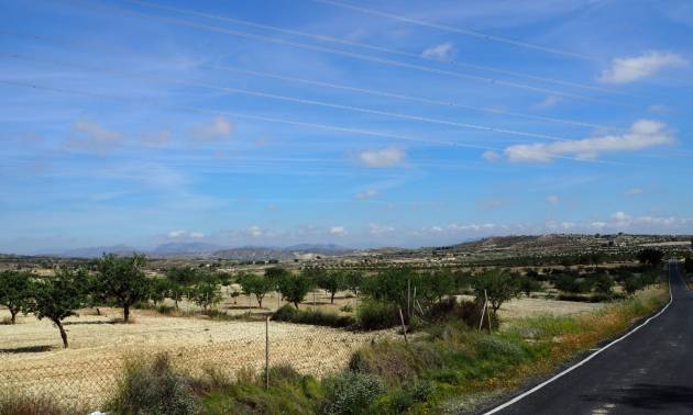 Revente - Land - San Miguel de Salinas - Torremendo