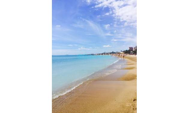 Sale - Villa - Torrevieja