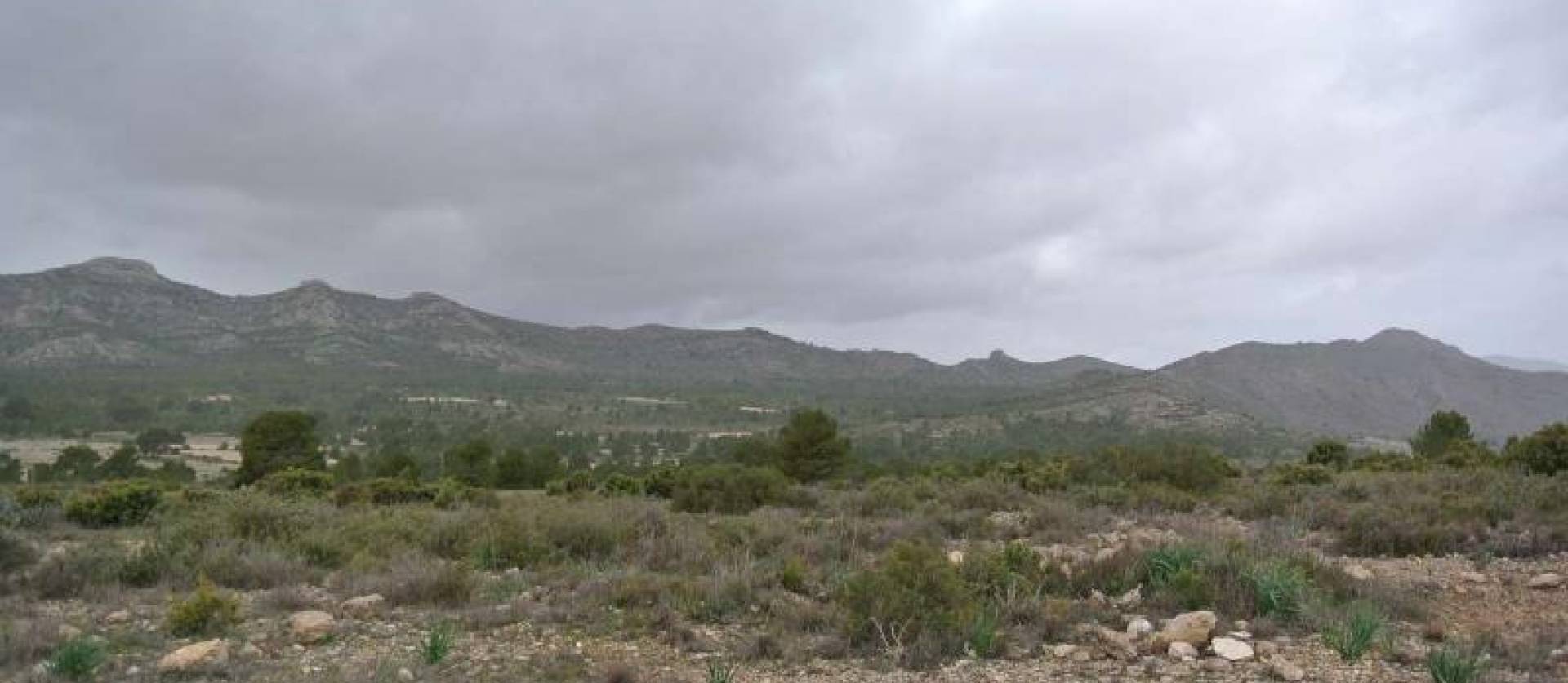 Venta - Land - Yecla