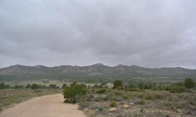 Venta - Land - Yecla