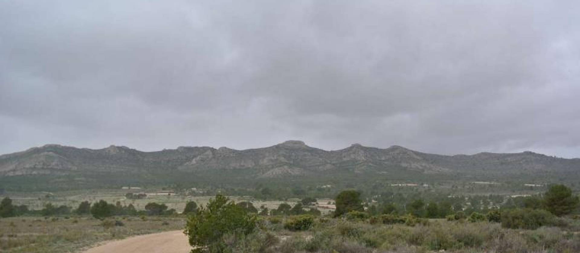 Venta - Land - Yecla