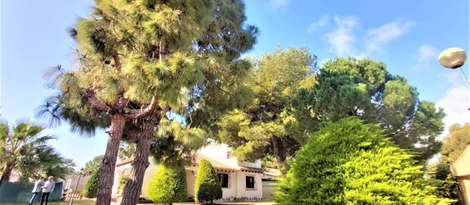 Sale - Villa - Torrevieja