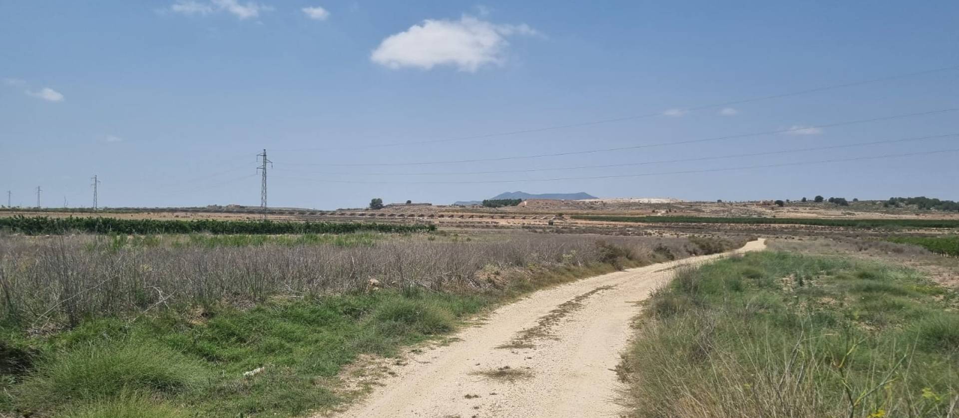 Sale - Land - Pinoso