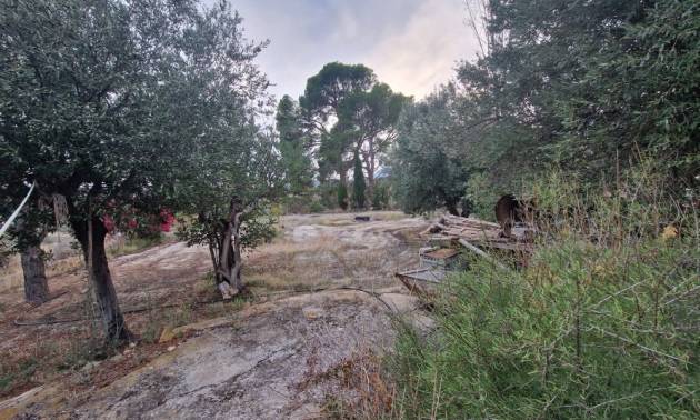 Sale - Country House - Relleu