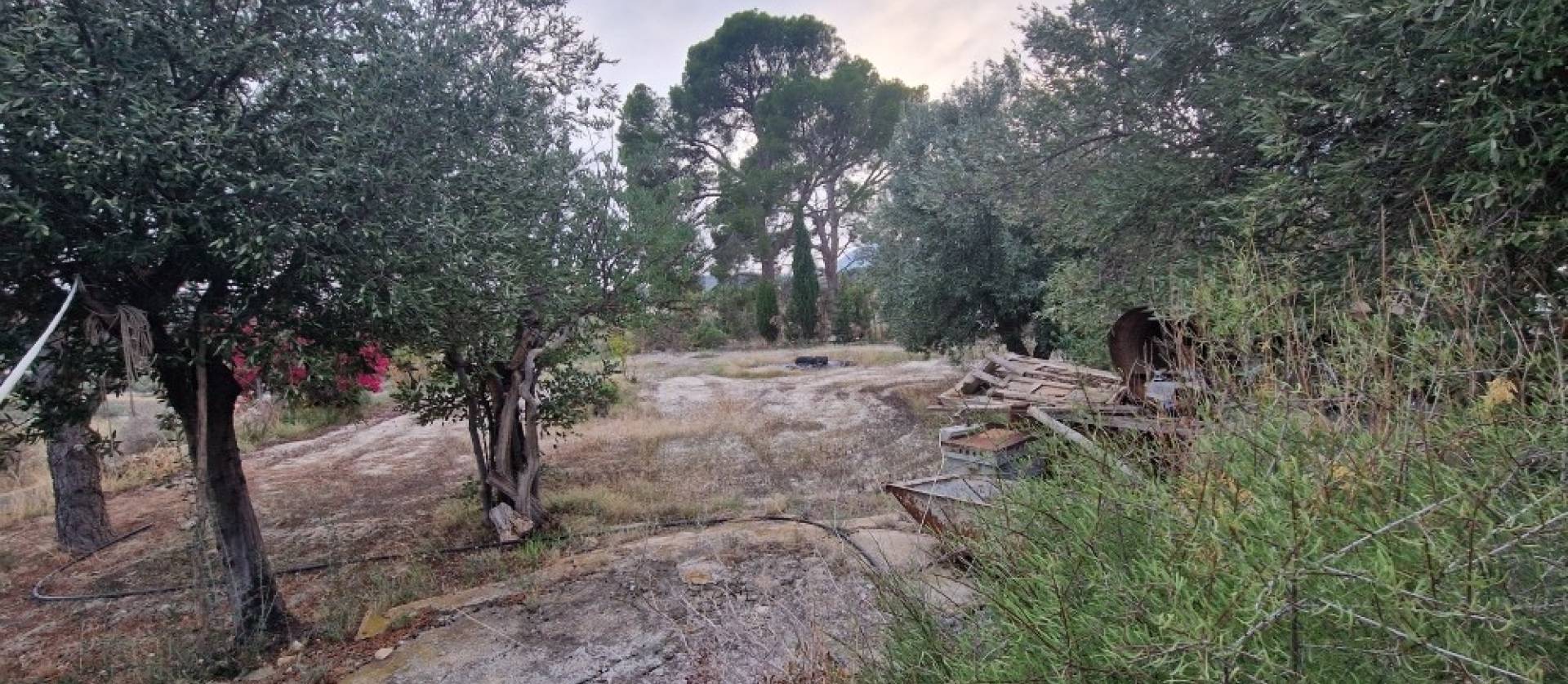 Sale - Country House - Relleu