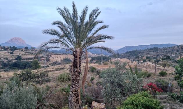 Sale - Country House - Relleu