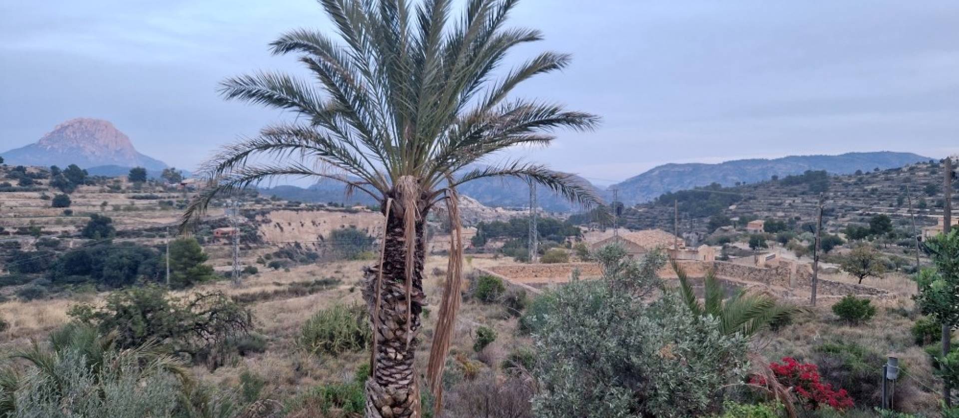 Sale - Country House - Relleu