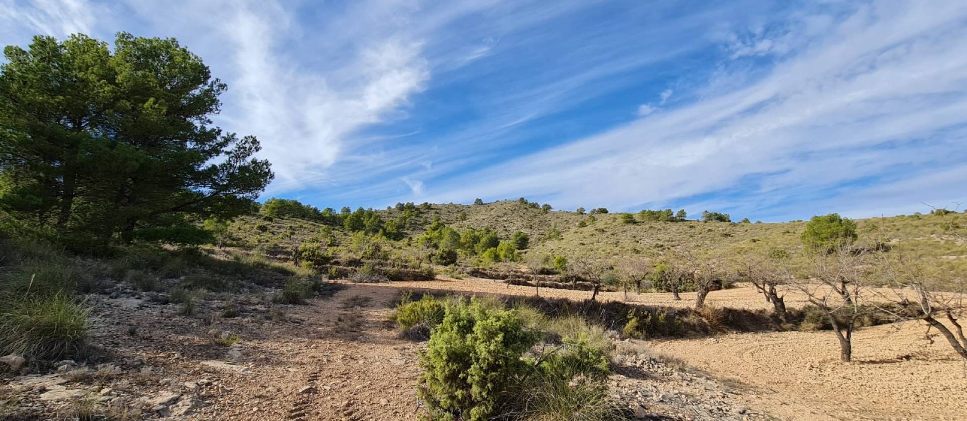 Sale - Land - Raspay