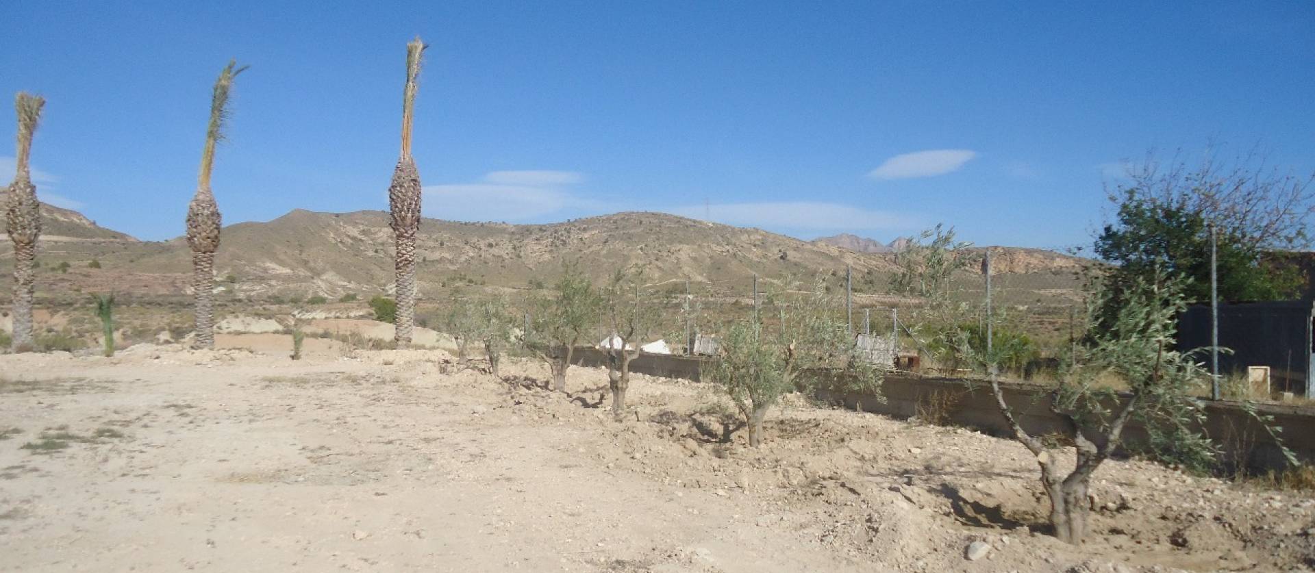 Sale - Land - Abanilla