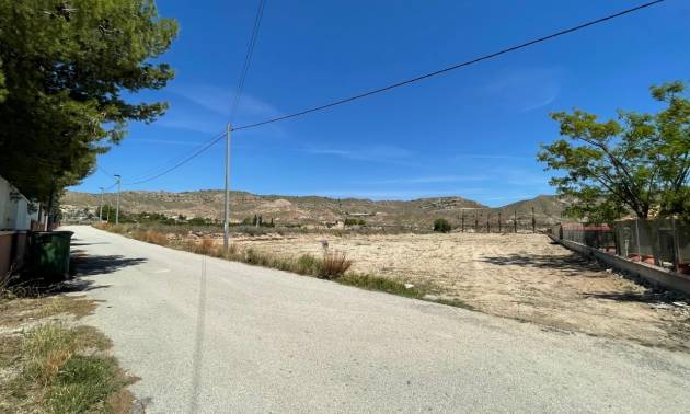 Sale - Land - Abanilla