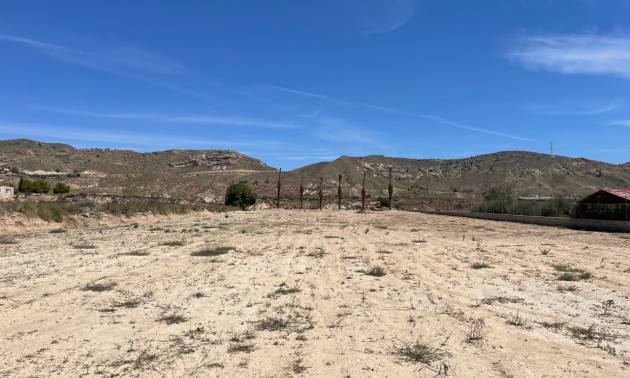 Sale - Land - Abanilla