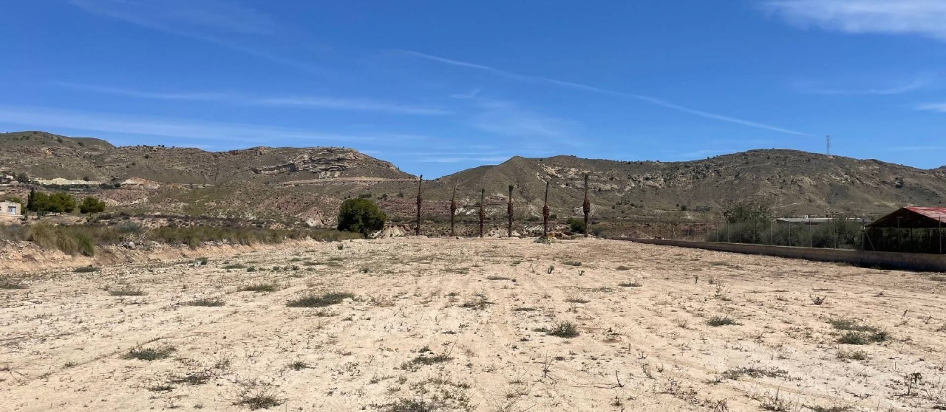 Sale - Land - Abanilla