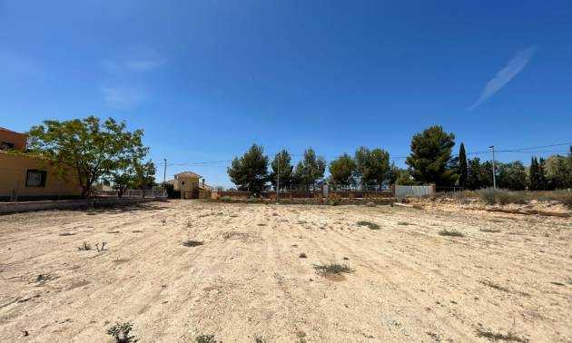 Sale - Land - Abanilla