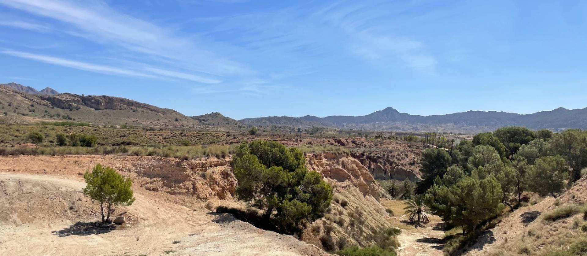 Sale - Land - Abanilla