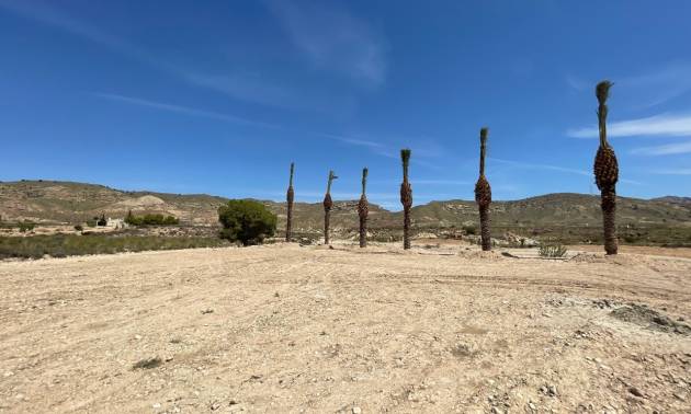 Sale - Land - Abanilla