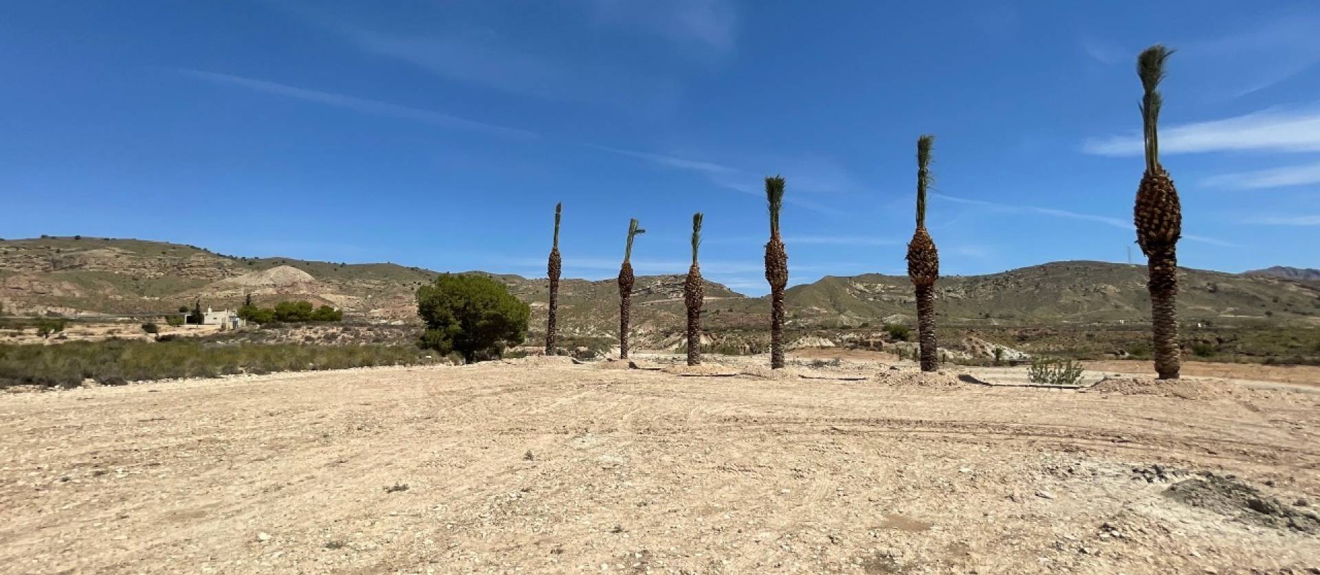 Sale - Land - Abanilla