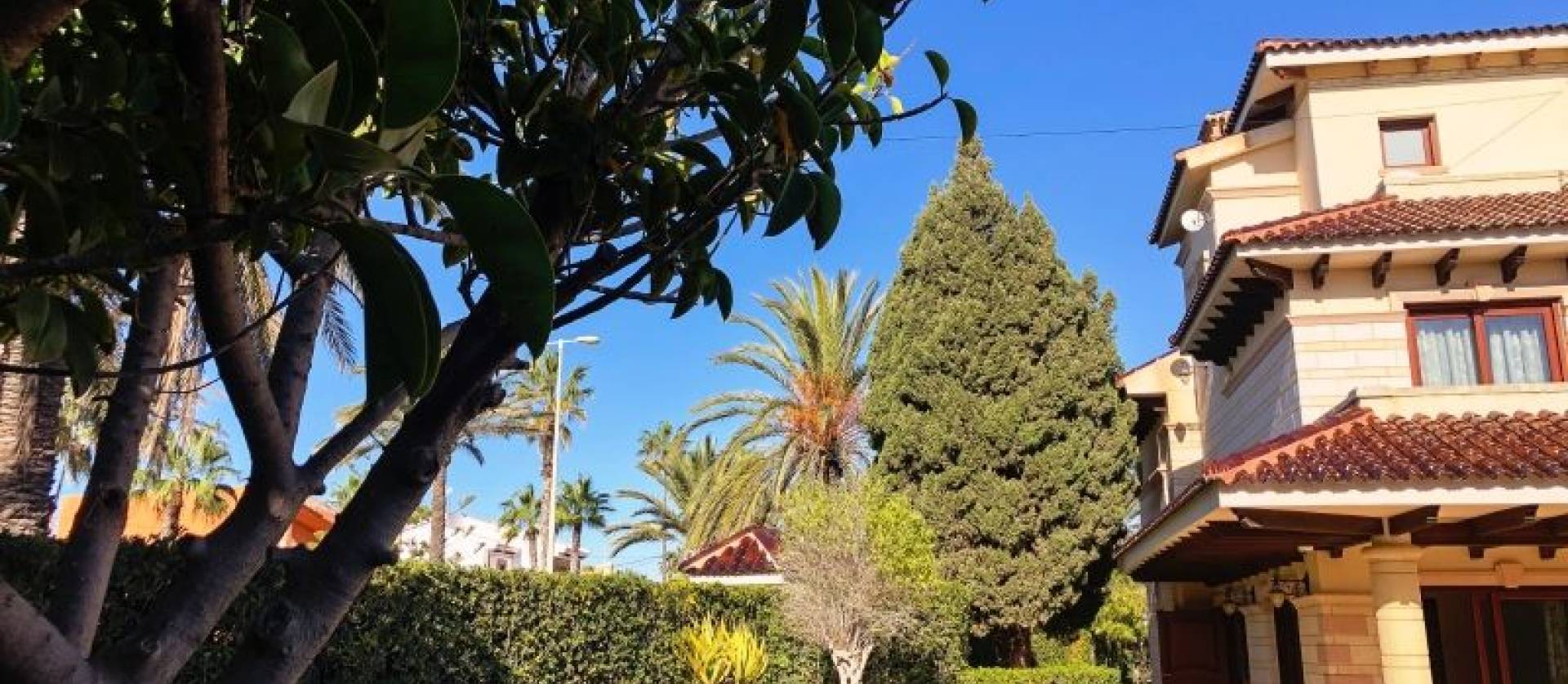 Venta - Villa - Orihuela Costa