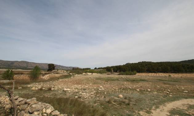 Venta - Country House - Monovar