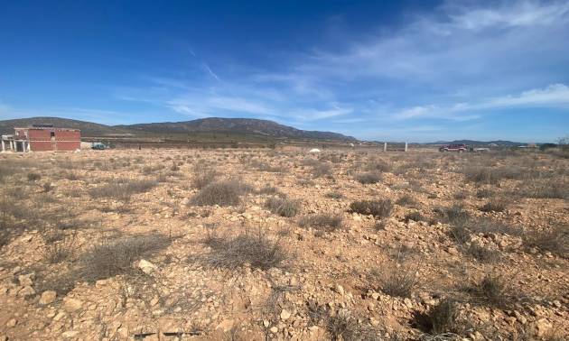 Sale - Land - Pinoso