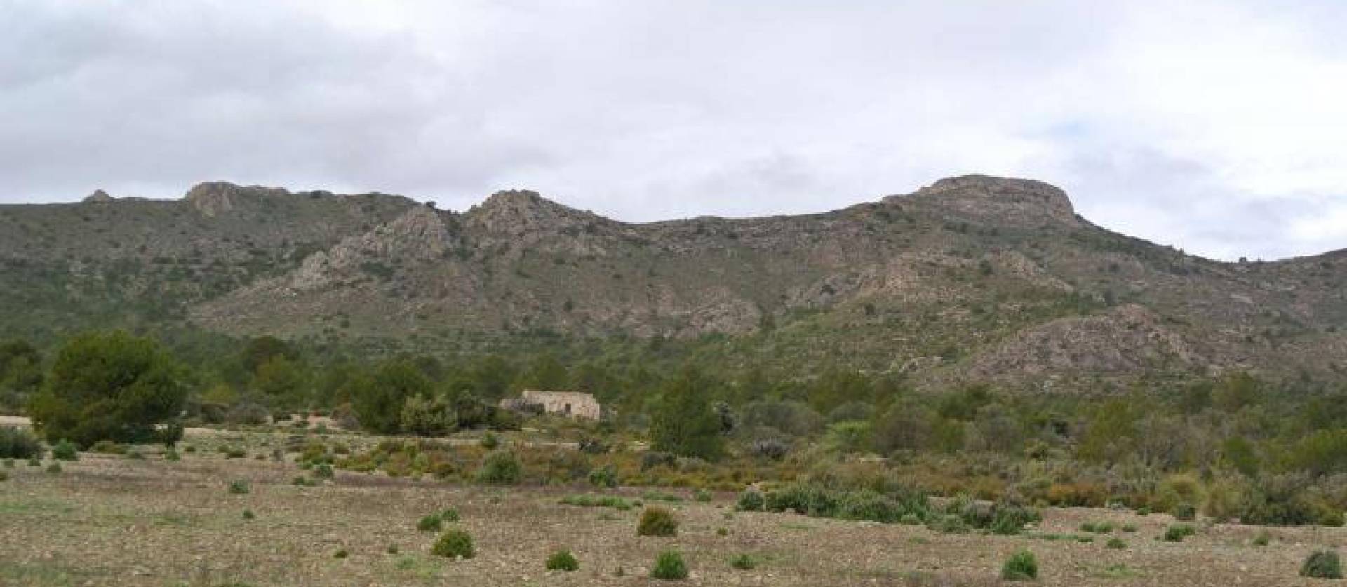 Venta - Land - Yecla