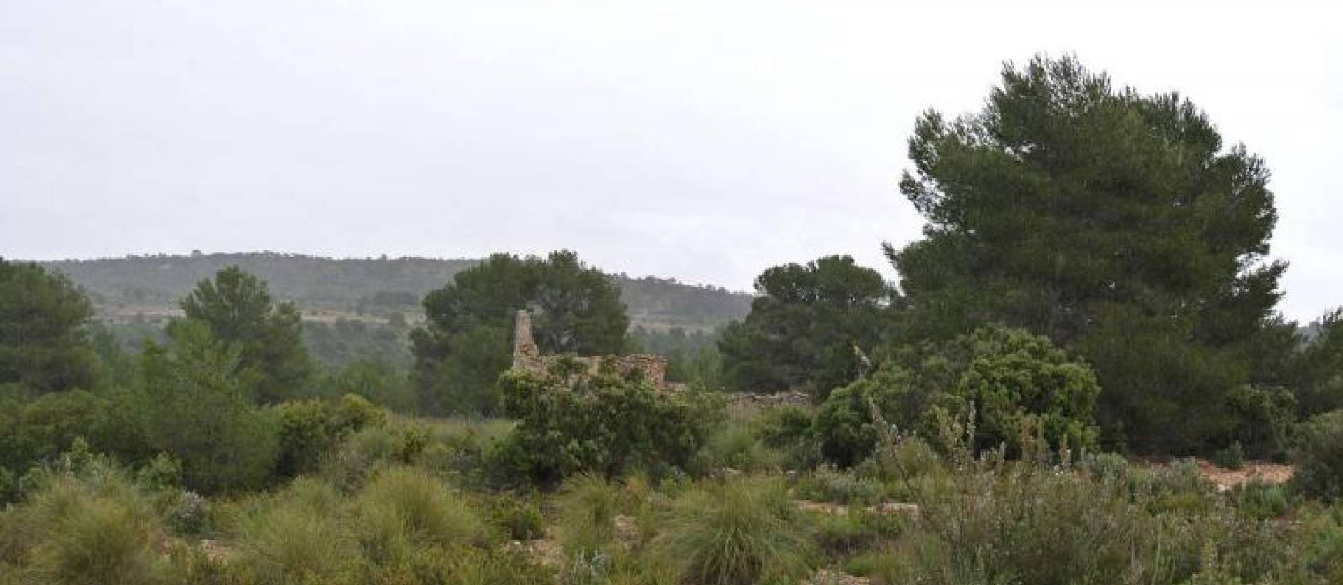 Venta - Land - Yecla