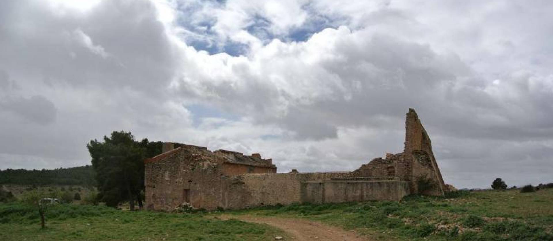 Venta - Land - Yecla