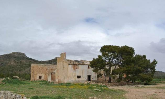 Venta - Land - Yecla