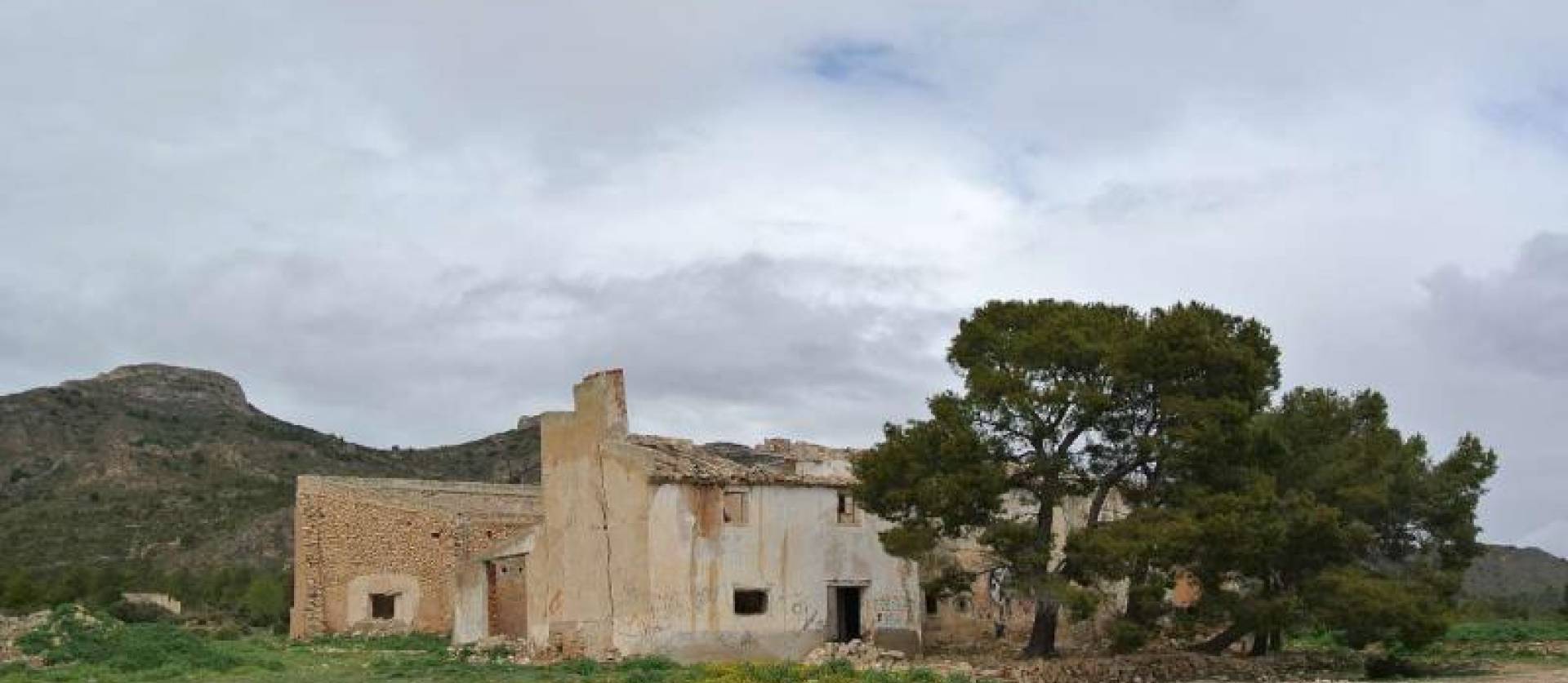 Venta - Land - Yecla