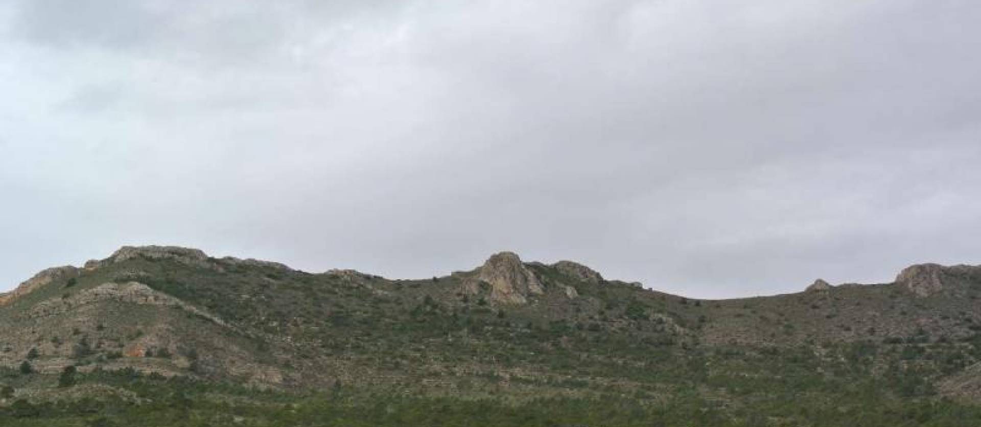 Venta - Land - Yecla