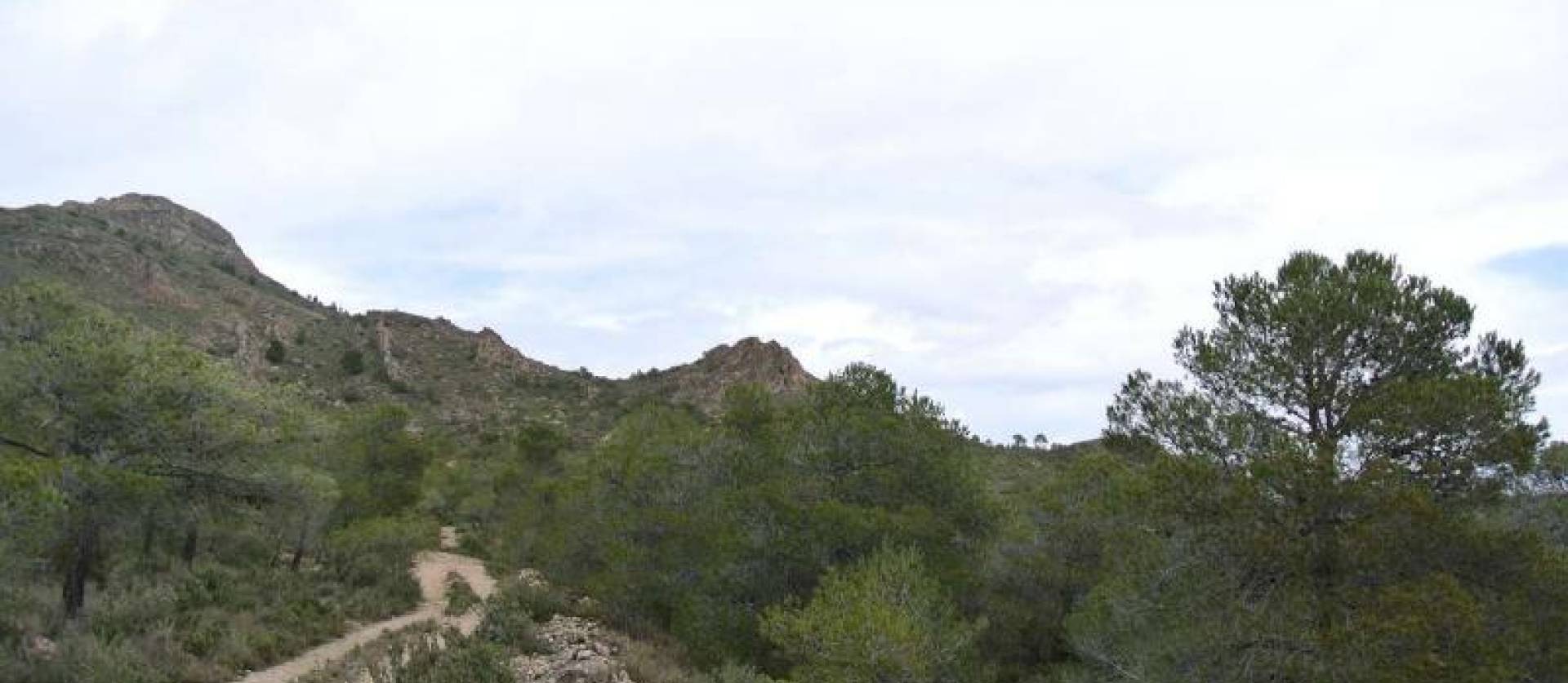 Venta - Land - Yecla