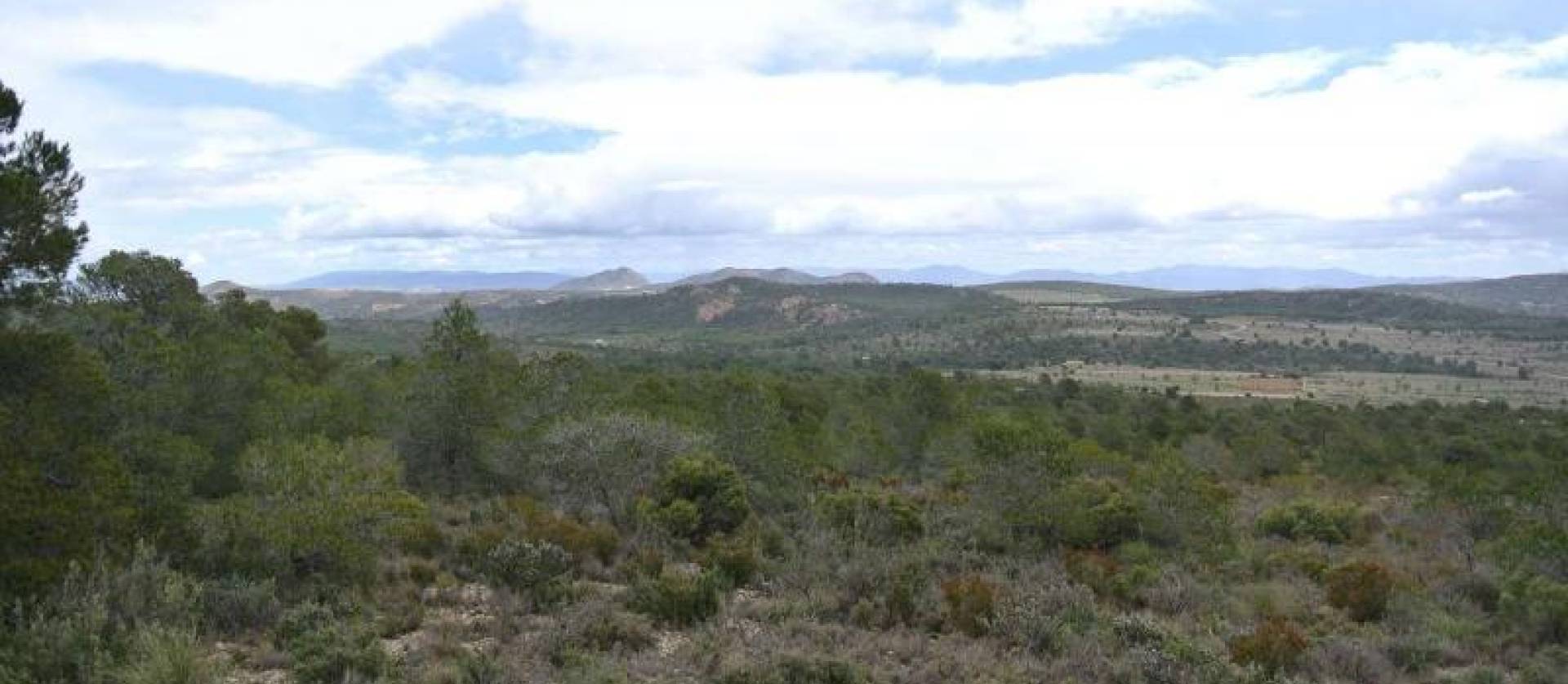 Venta - Land - Yecla