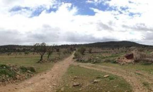 Venta - Land - Yecla