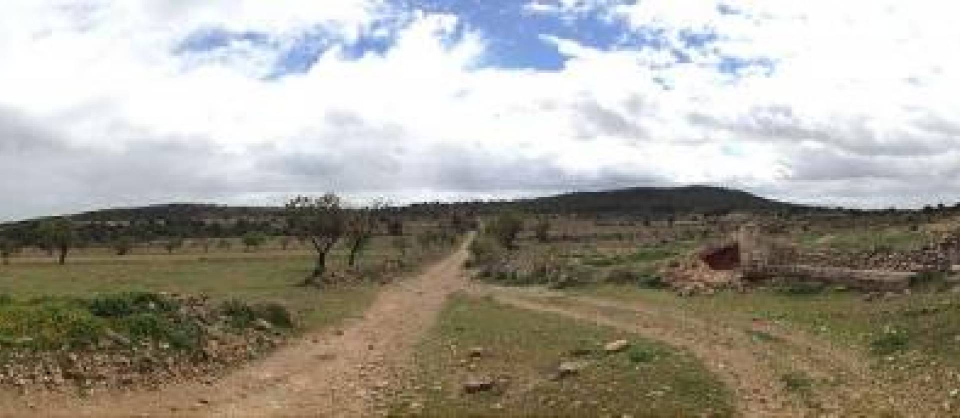 Venta - Land - Yecla