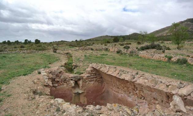 Venta - Land - Yecla