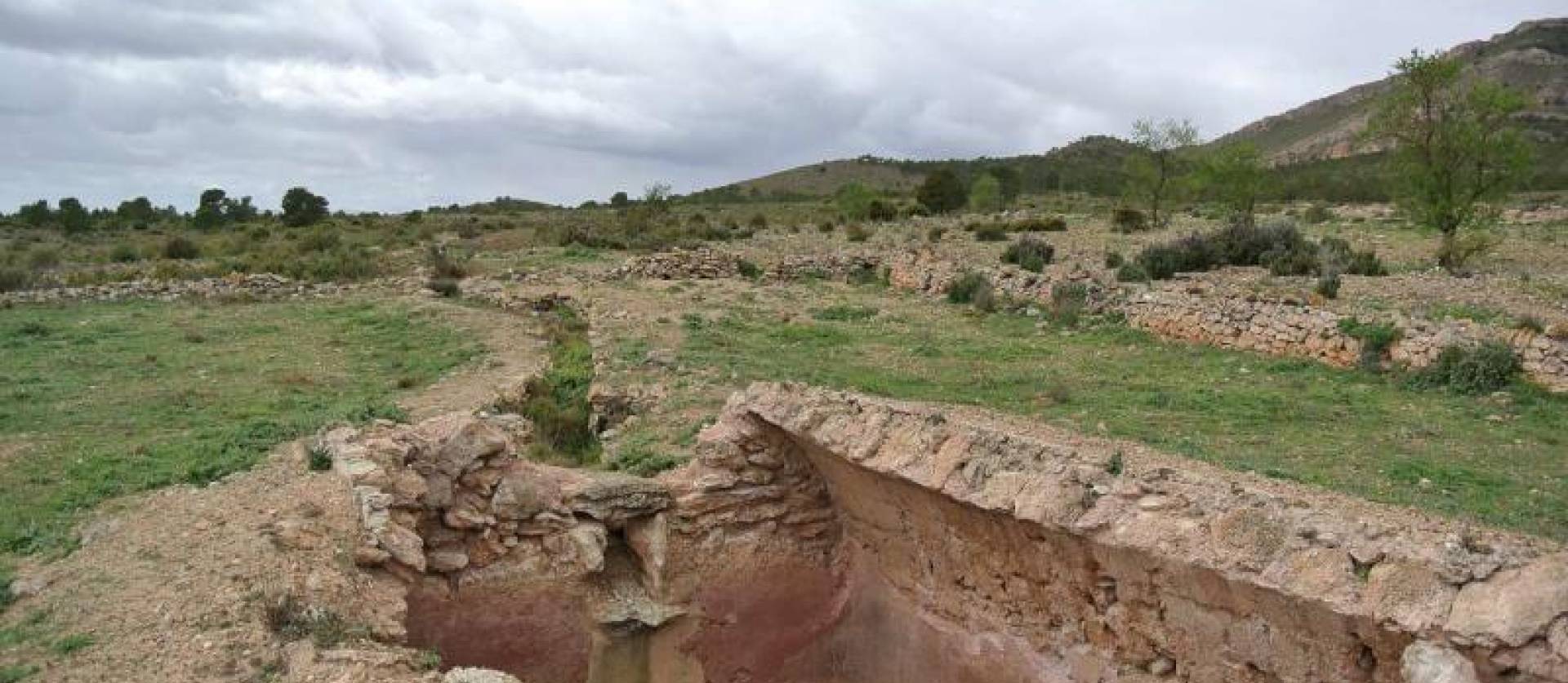 Venta - Land - Yecla