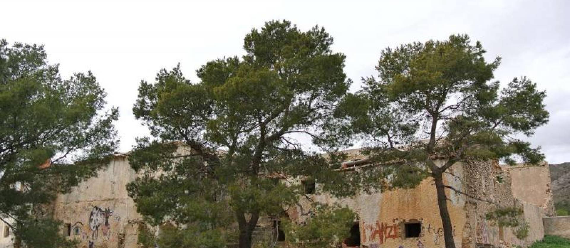 Venta - Land - Yecla