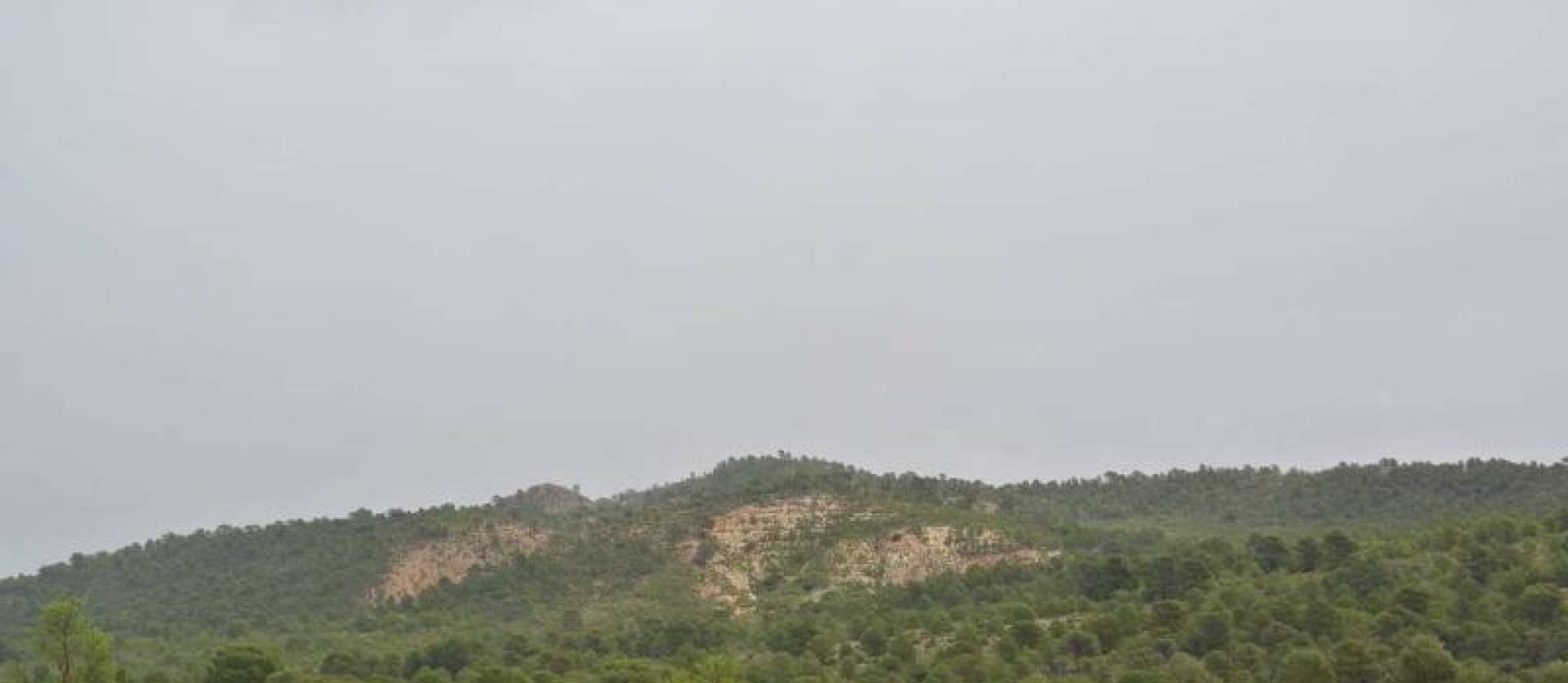 Venta - Land - Yecla