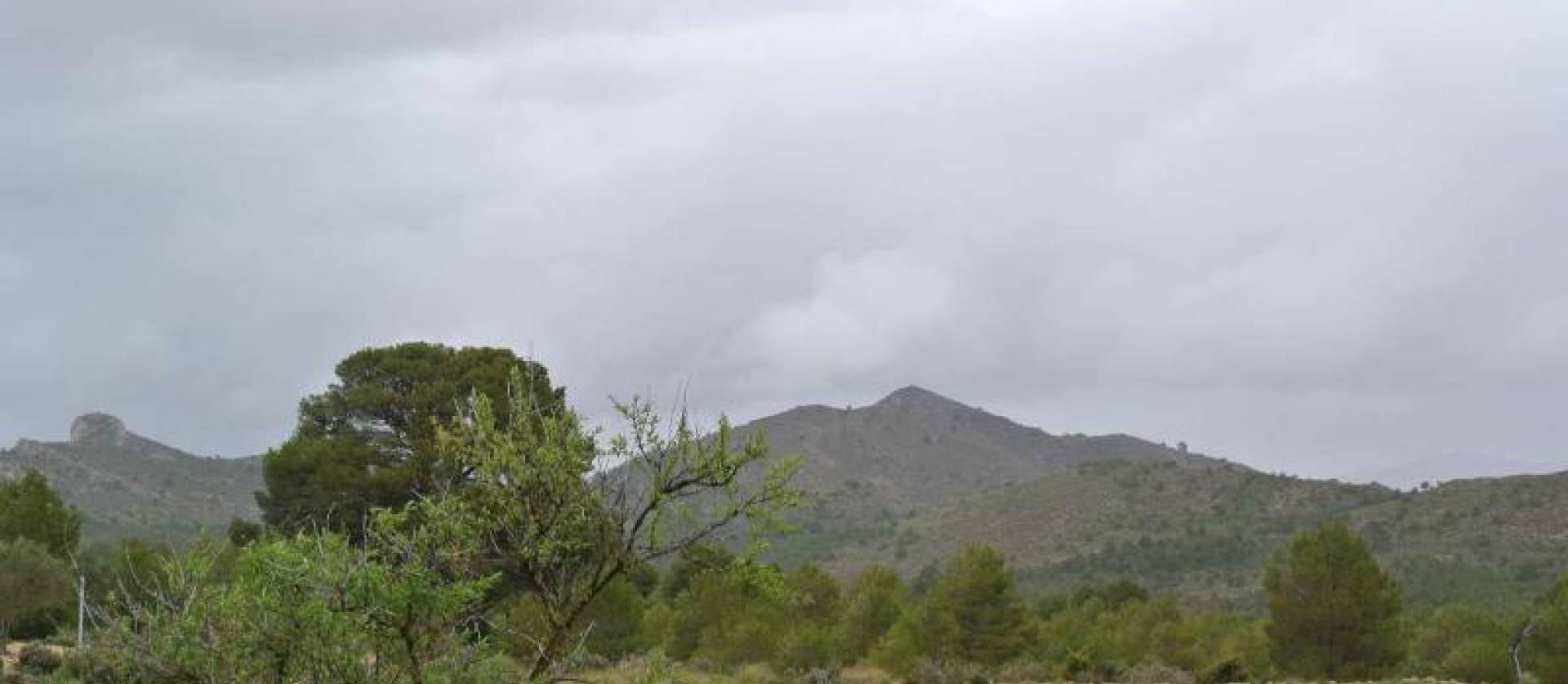 Venta - Land - Yecla