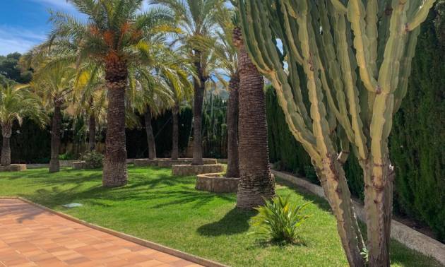 Revente - Villa - Albir